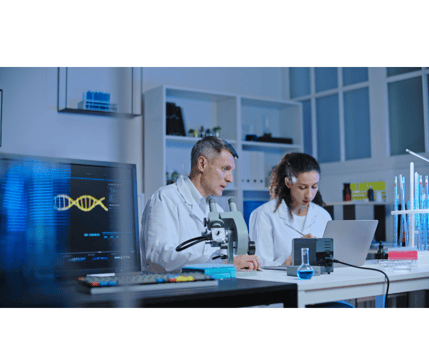 Two researchers sitting in a laboratory