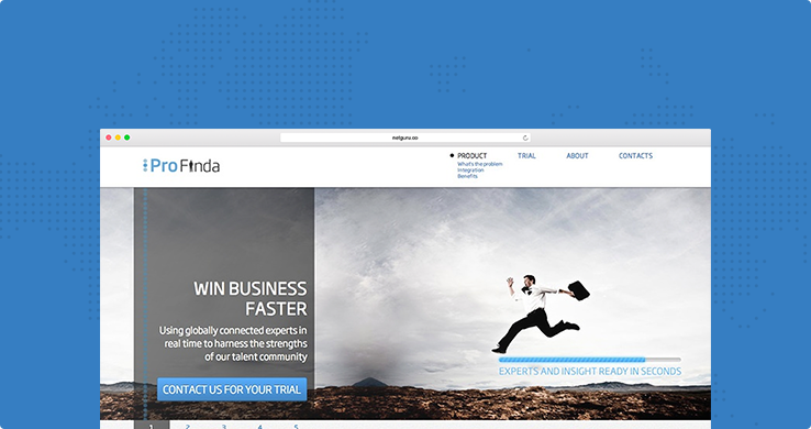 profinda website screenshot